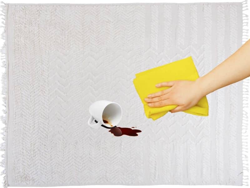 Modern Rug Stain Care Modern Rug Stain Care Nazmiyal