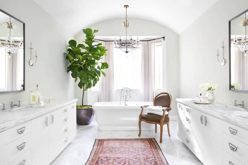 Zen Decor with Plants Zen Decor with Plants Nazmiyal