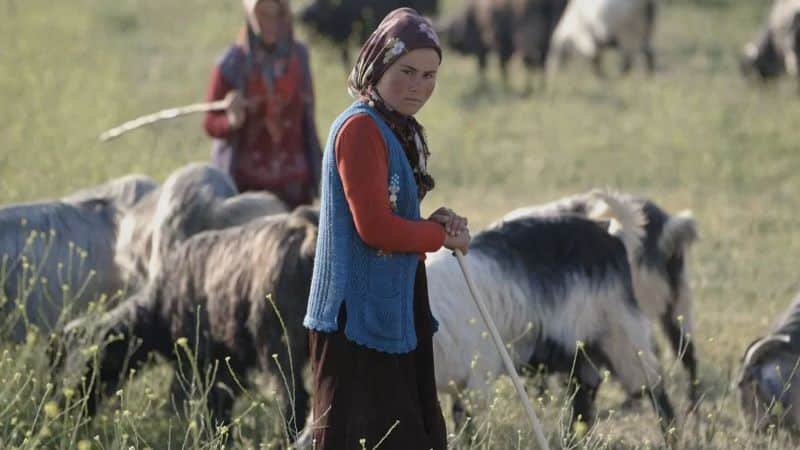 Anatolian Nomads Anatolian Nomads Nazmiyal