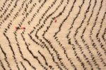 Close Up Vintage Moroccan Rug 70545 by Nazmiyal NYC
