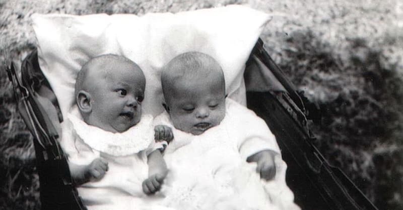 Judith Scott and Twin Joyce Judith Scott and Twin Joyce Nazmiyal