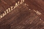 Weave Of Vintage Moroccan Brown Kilim Rug 70540 by Nazmiyal NYC
