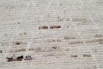 Close Up Cream Room Size Modern Moroccan Style Afghan Rug 60169 by Nazmiyal NYC
