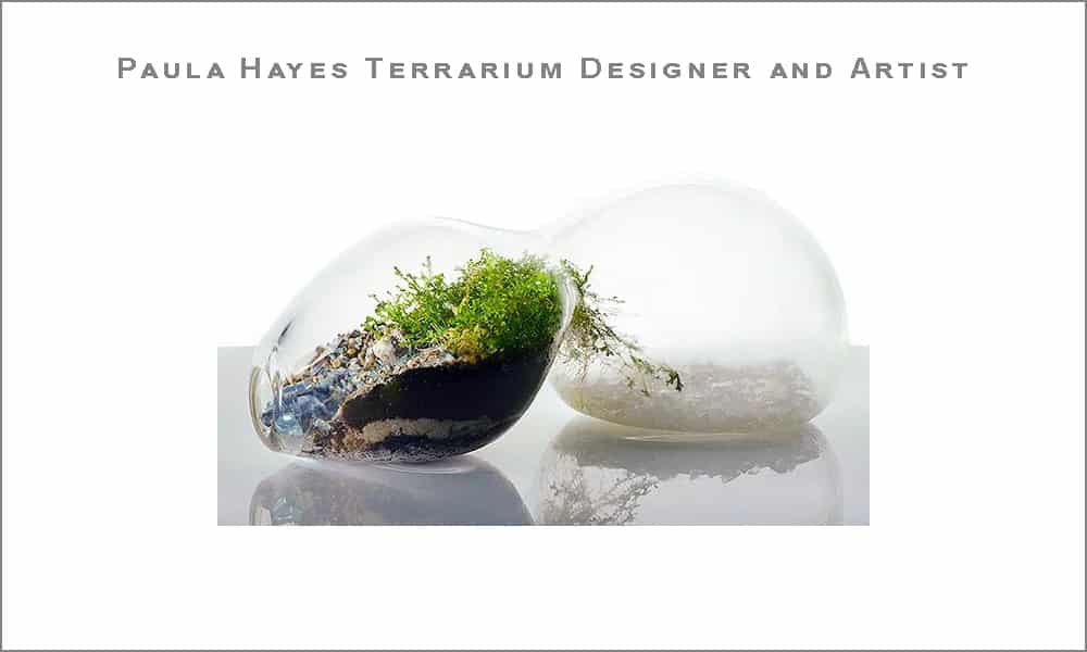 Paula Hayes Terrarium Designer and Artist Paula Hayes Terrarium Designer and Artist by Nazmiyal Antique Rugs