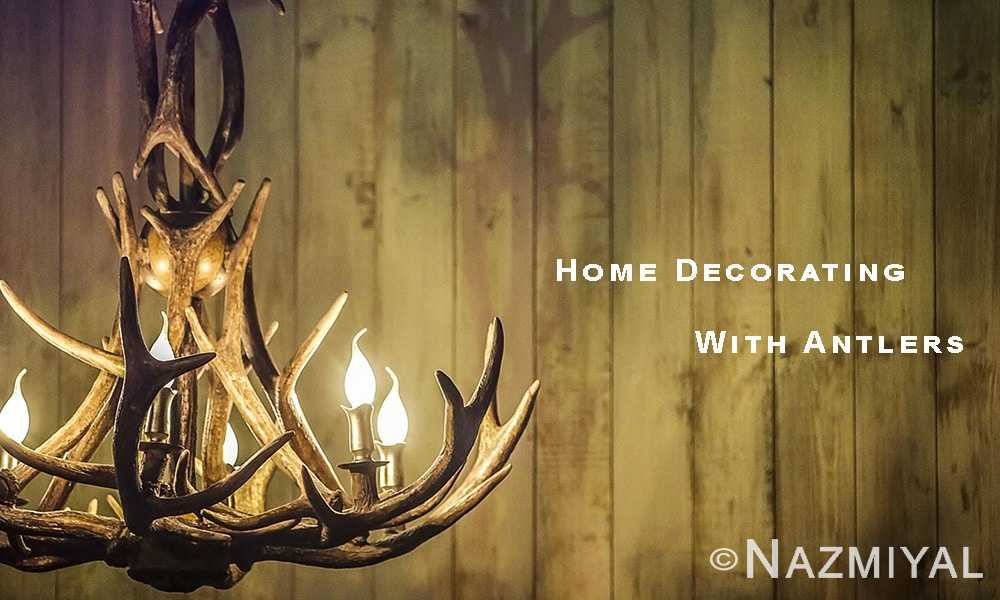 Decorating With Antlers Using