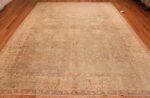 Whole View Of Gray Background Antique Indian Agra rug 49084 by Nazmiyal NYC