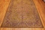 Whole View Of Polonaise Design Late 19th Century Antique Indian Agra Rug 48840 by Nazmiyal NYC