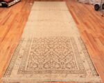 Whole View Of Antique Persian Malayer Runner Rug 48308 by Nazmiyal NYC