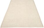 Whole View Of Ivory Textured Modern Distressed Rug 60806 by Nazmiyal Antique Rugs