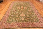 Whole View Of Green Background Antique Portuguese Needlepoint Rug 71004 by Nazmiyal Antique Rugs