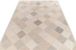 Whole View Of Swedish Inspired Modern Area Rug 61070 by Nazmiyal Antique Rugs