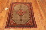 Whole View Of Antique Persian Serab Area Rug 71741 by Nazmiyal Antique Rugs
