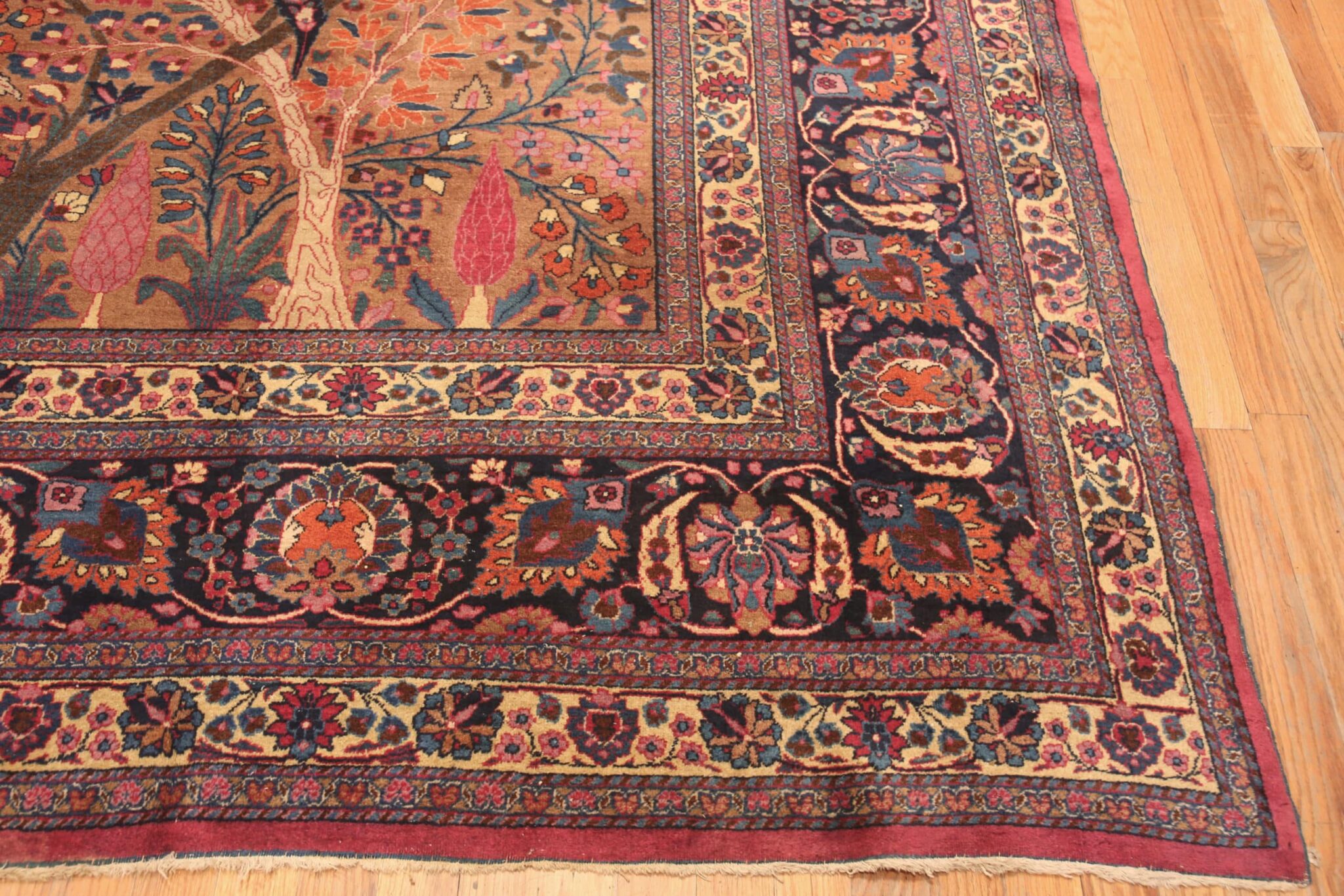Persian Tree Of Life Khorassan Rug 71842 Nazmiyal Antique Rugs
