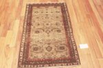 Whole View Of Antique Persian Malayer Rug Whole View Of Antique Persian Malayer Rug 72046 By Nazmiyal Antique Rugs