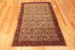 Whole View Of Antique Persian Sarouk Farahan Rug 72115 by Nazmiyal Antique Rugs