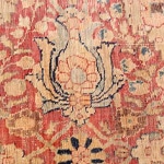 Gol Symbols at Nazmiyal