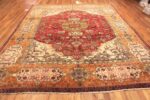 Whole View Of Animal Of Design Antique Indian Agra Rug 72237 by Nazmiyal Antique Rugs