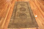 Whole View Of Antique East Turkestan Khotan Rug 71752 by Nazmiyal Antique Rug