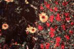 Detail Of Vintage Scandinavian Gustav Klimt Floral Rug 72313 By Nazmiyal Antique Rugs