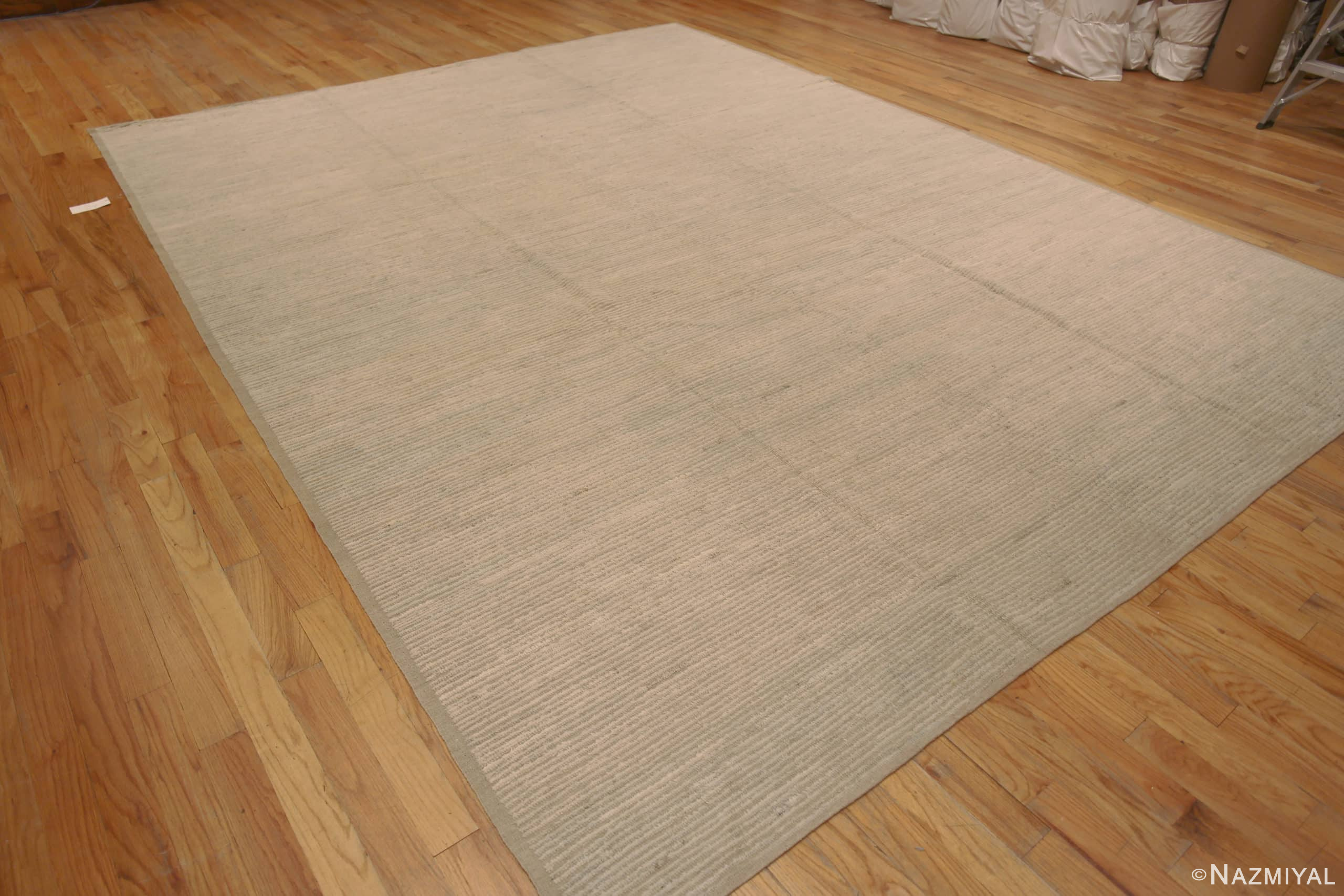 Whole View Of Classy Decorative Neutral Color Contemporary Area Rug 11647 by Nazmiyal Antique Rugs