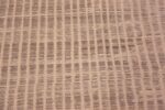 Close Up of Room Size Decorative Modern Cream Rug 11635 by Nazmiyal Antique Rugs