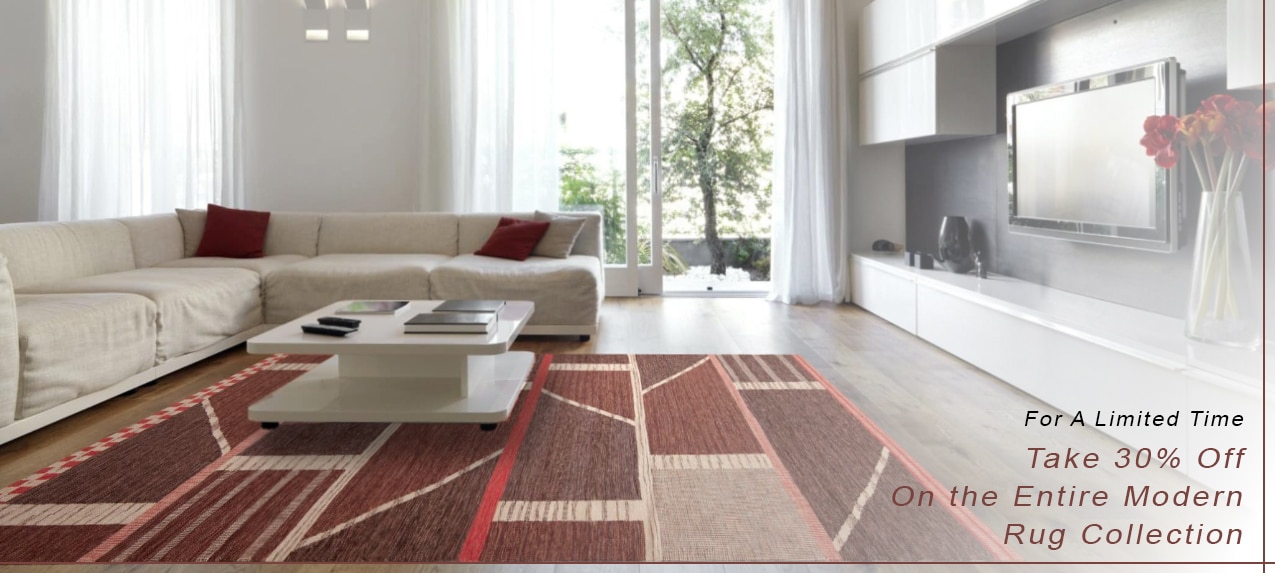 21st Century Modern Rug Sale