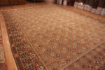 Whole View of Large Modern Khotan Style Indian Rug 72978 by Nazmiyal Antique Rugs