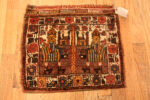 Pair Of Pictorial Antique Persian Afshar Tribal Bags 73114 by Nazmiyal Antique Rugs