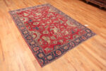 Whole View Of Antique Indian Agra Rug 15146 by Nazmiyal Antique Rugs