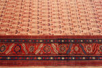 Border of Handwoven Antique Bakhshaish Rug Persian Village Carpet with Allover Motifs Border of Handwoven Antique Bakhshaish Rug Persian Village Carpet with Allover Motifs 73160 by Nazmiyal Antique Rugs