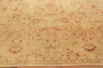 Border of Antique Agra Oriental Rug 43210 Nazmiyal Collection