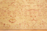 Side Border of Antique Agra Oriental Rug 43210 Nazmiyal Collection