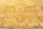 Border of Antique Agra Oriental Rug Border of Antique Agra Oriental Rug 43655 Nazmiyal Collection