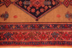 Border of Antique Persian Malayer Rug Border of Antique Persian Malayer Rug 73412 by Nazmiyal Antique Rugs