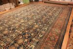 Floor View of Oversized Antique Persian Farahan Sarouk Rug 73860 by Nazmiyal Antique Rugs