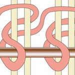 Knot Thumbnail for Glossary
