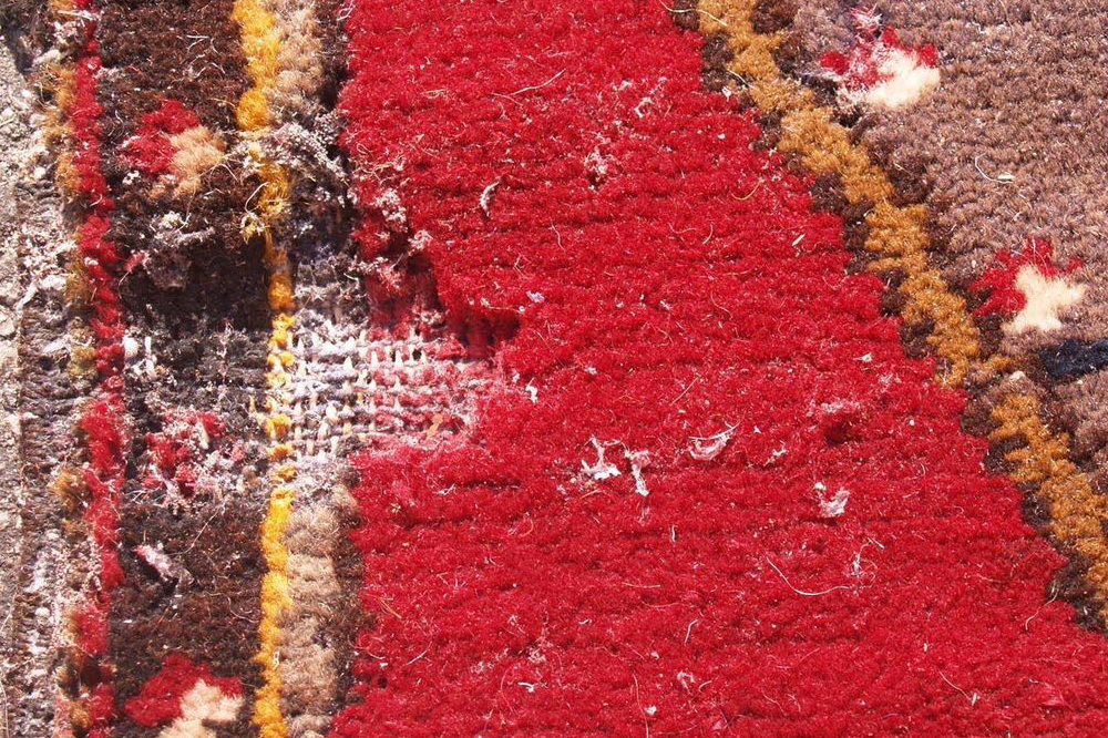 Moth Damage on Rug for Blog