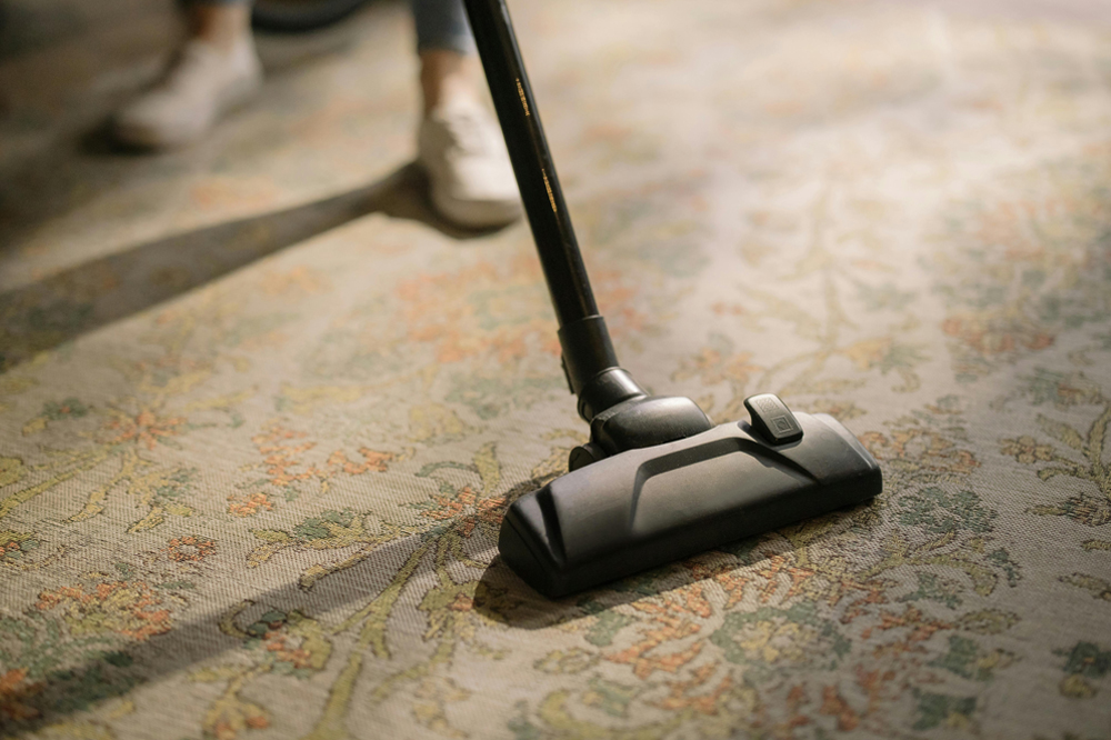 Vacuuming Rug for Blog