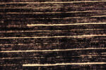 Detail of Modern Central Asian Abstract Rug 12418 by Nazmiyal Rugs